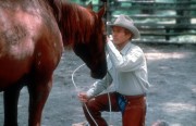 Заклинатель лошадей / The Horse Whisperer (Роберт Редфорд, Сэм Нил, Скарлетт Йоханссон, 1998)  6b43b8205630566