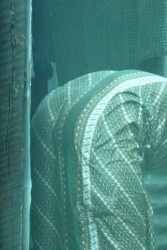 [Image: 7a0e6b208340189.jpg]